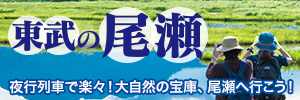 東部の会津